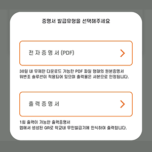발급 유형 예시